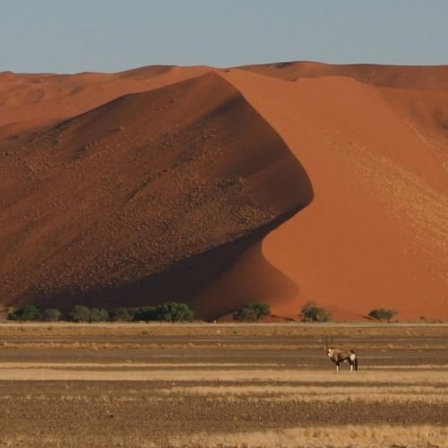 10-Day Heart of Namibia Fly-in Safari (Premier)