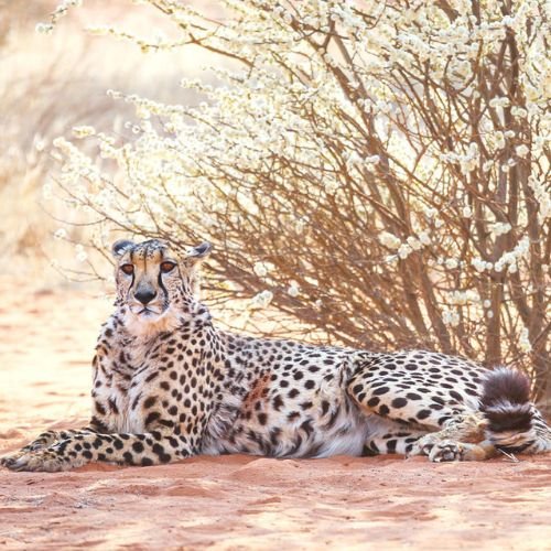 12-Day Highlights of Namibia (Deluxe) (4)