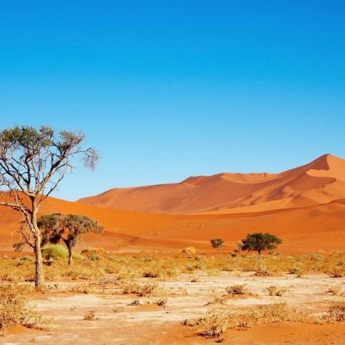 12-Day Magic of Namibia Fly-in Safari (Premier) (8)