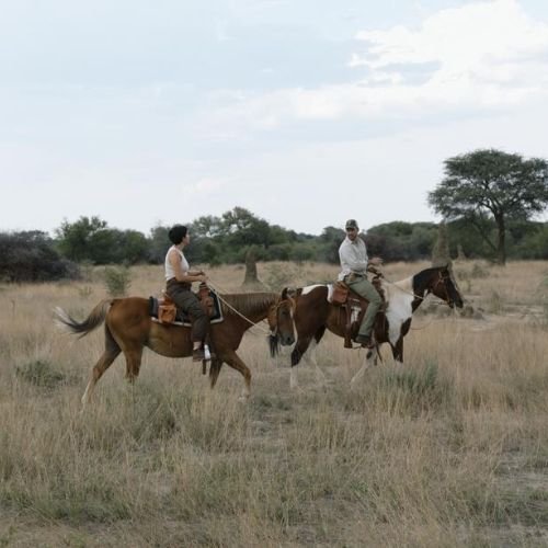 13-Day Namibia Camping Adventure (28)