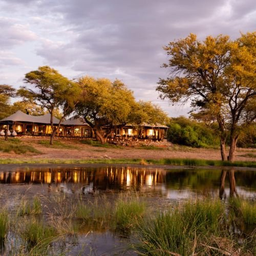 8-Day Namibia Wildlife Odyssey (Comfort) (8)