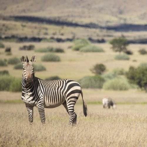 8-Day Treasures of Namibia Fly-in Safari (Premier) (3)