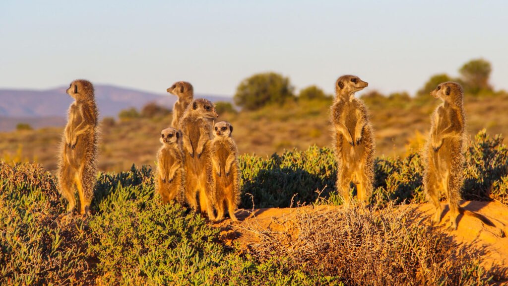 1739371022788_shutterstock_2538730599