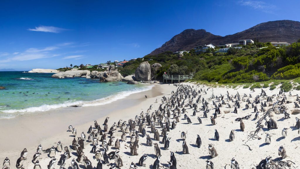 capetown-istock-620737858_142