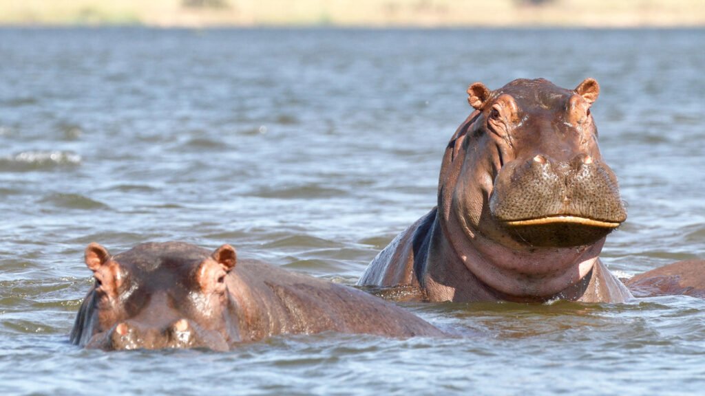 shutterstock_1555562828