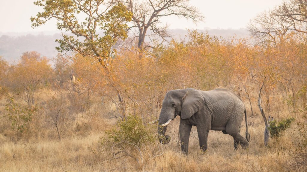 shutterstock_2200021965