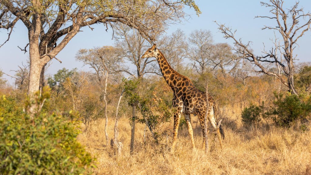 shutterstock_2201358735